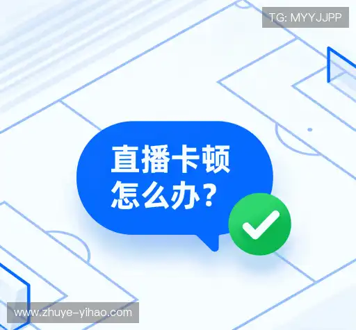 用户指南